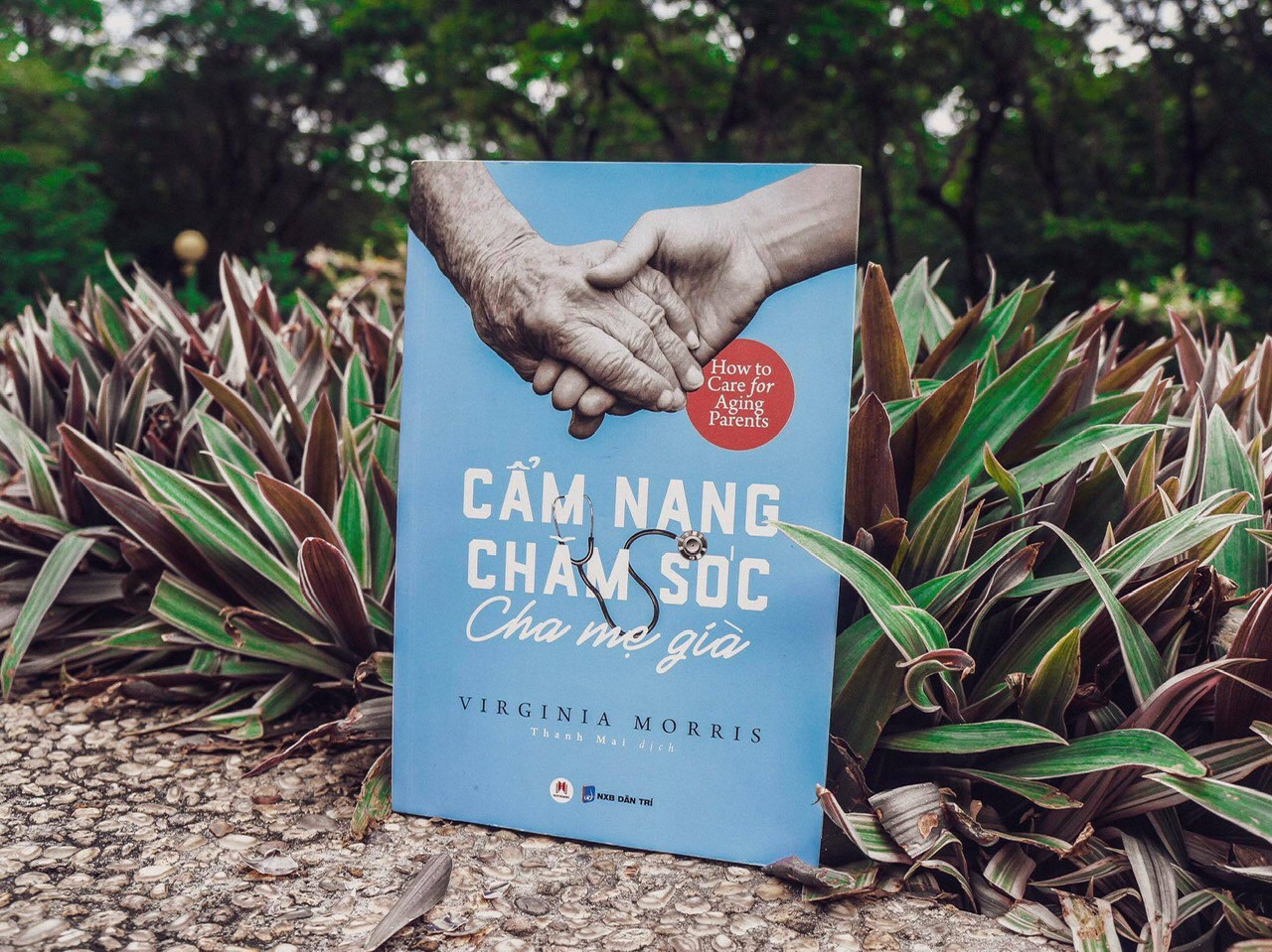 Cẩm nang chăm sóc cha mẹ già – Cho yêu thương gần thêm chút nữa